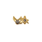 Gold-colored lapel pin with side-by-side logos including a Square and Compass and star in a blue circle with wings on a white background