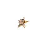 Colorful Eastern Star logo lapel pin with goldtone border and Square and Compasses in the center. 