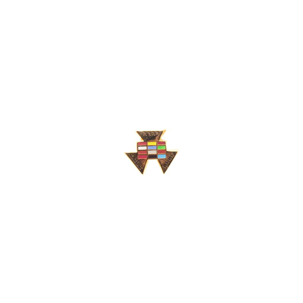 Colorful geometric pin on a white background